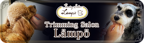 Triminngu Salon Lampo